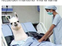 Mantener viva la llama en el amor