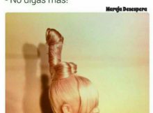 peinado que es la polla